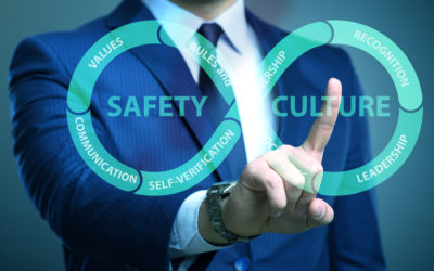 Leading a Culture of Safety: A Blueprint for Success for High Reliability Organizations